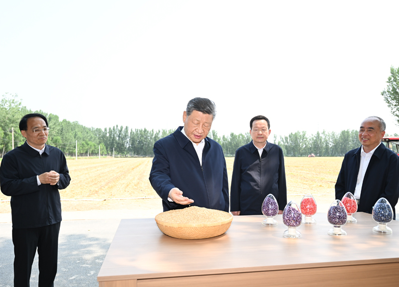 习近平在山东德州考察时强调 以扎实举措推进农业农村现代化 用勤劳和智慧创造更加美好生活